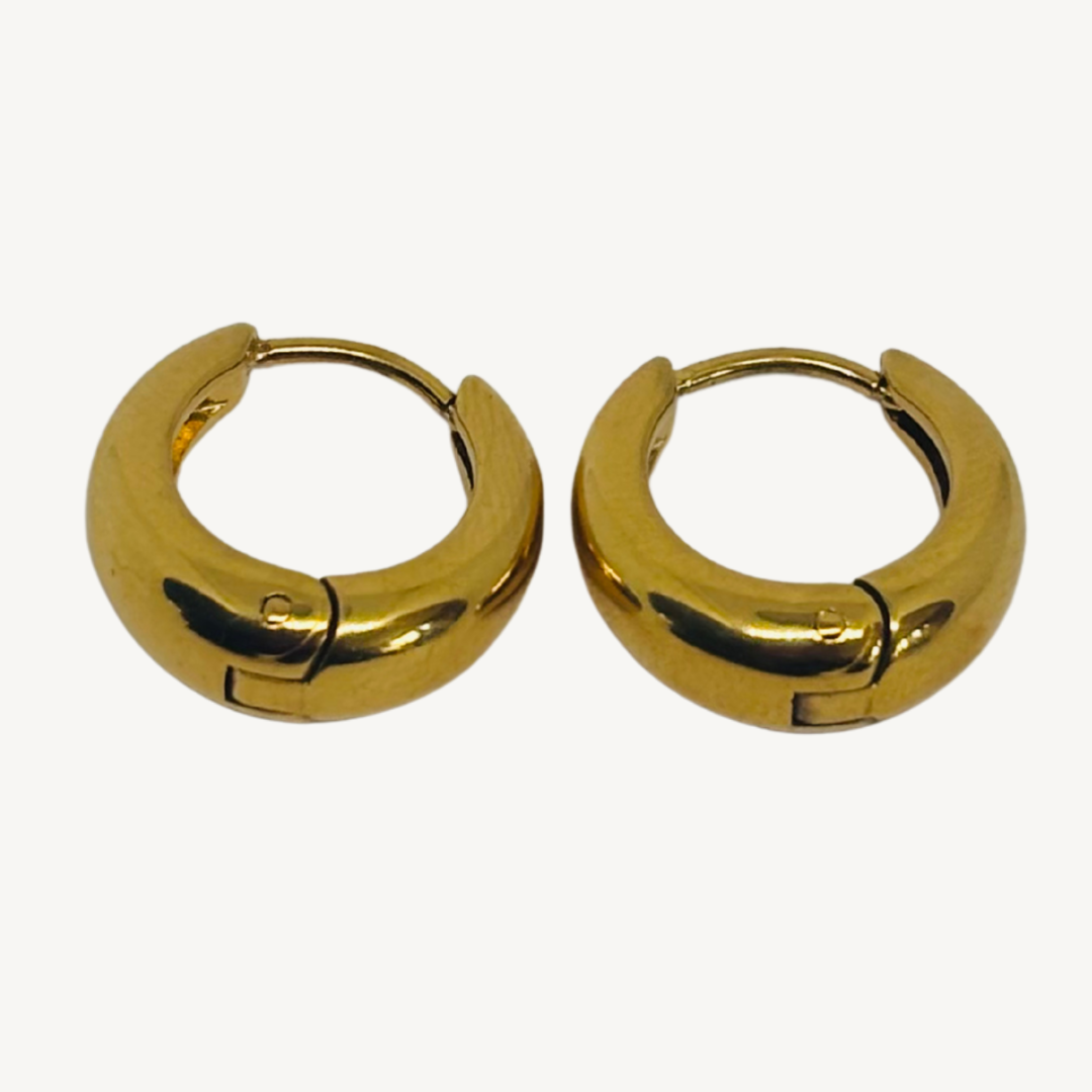 Luxe Loop Earrings